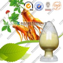 Powdered Asian Ginseng Extract Best Ginseng Extract